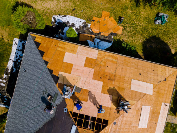 Best Roof Gutter Cleaning  in Little Elm, TX