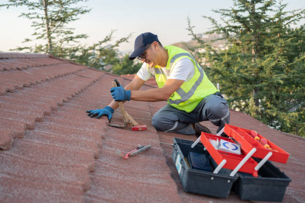Roof Gutter Cleaning in Little Elm, TX